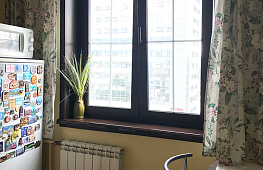 В квартиру можно поставить не только классические белые окна! Но и в цвете! Цветов более 100 оттенков. tab
