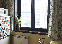 В квартиру можно поставить не только классические белые окна! Но и в цвете! Цветов более 100 оттенков.